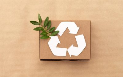 Emballages écoresponsables : l’atout méconnu pour une logistique vraiment durable