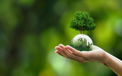 Réduire l’empreinte carbone de vos livraisons beauté : solutions et bonnes pratiques