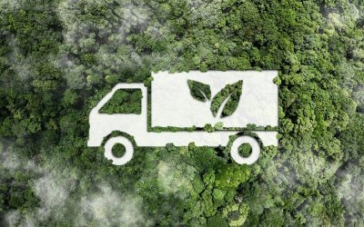 Solutions innovantes pour une livraison e-commerce écologique et durable