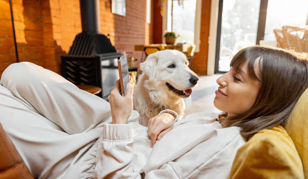 Logistique e-commerce animalier : scaler sans surcoûts