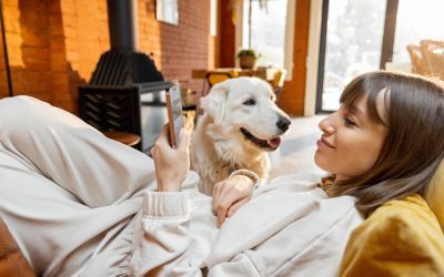 Logistique e-commerce animalier : scaler sans surcoûts