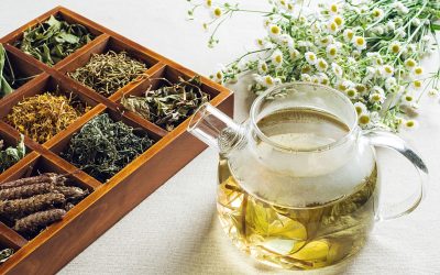 Gestion des DLUO en alimentaire sec : guide efficace